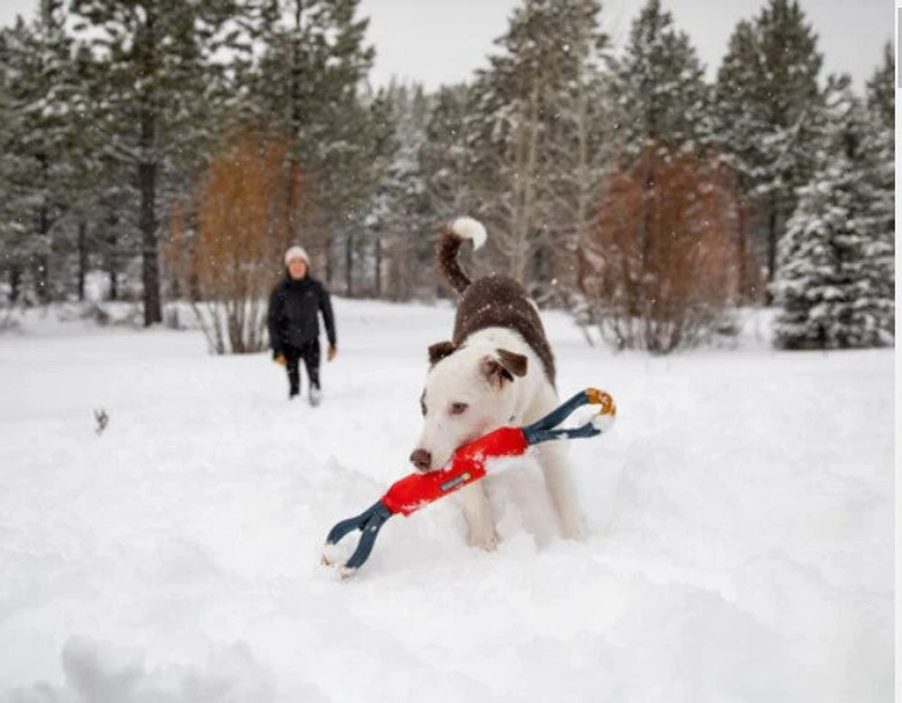 Ruffwear™ Pacific Loop™ Toy - Sockeye Red - Image 7