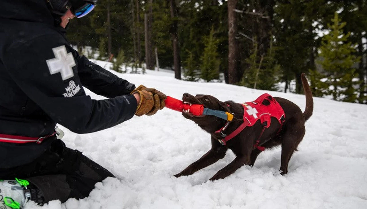 Ruffwear™ Pacific Loop™ Toy - Sockeye Red - Image 5