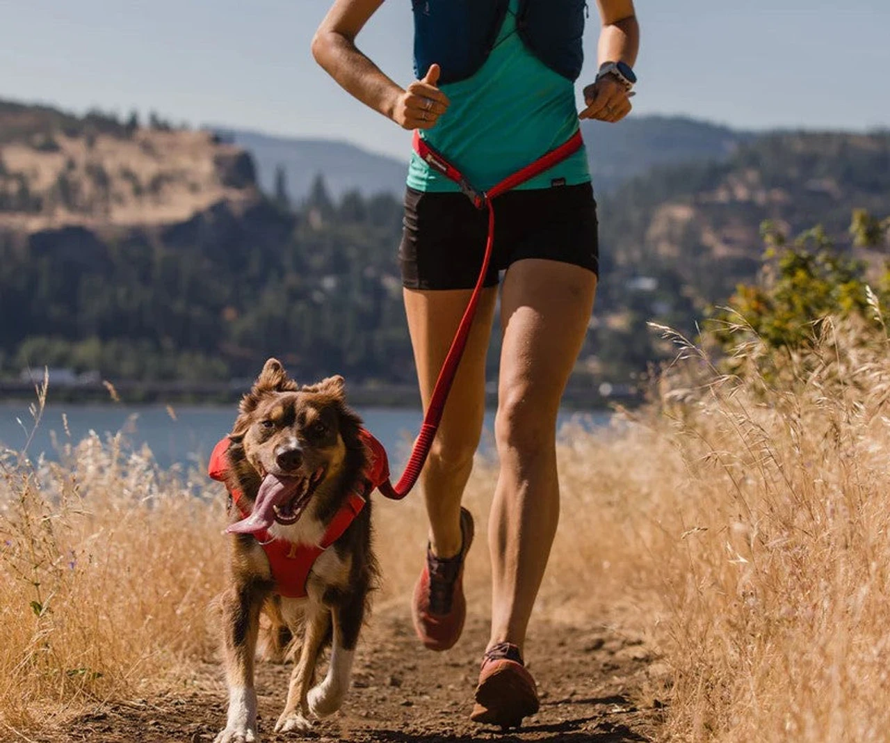 Ruffwear™ Roamer™ Bungee Dog Leash - Granite Gray - 7.3 Ft - 11 Ft - Image 7