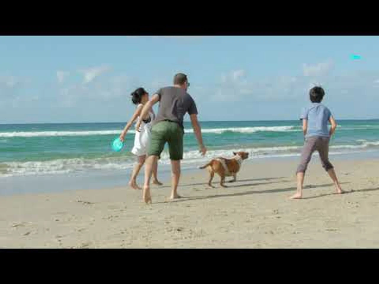 Waboba Woofpack Dog Toys - Image 4