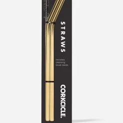 Corkcicle® Gold Tumbler Straws - 2 Pack