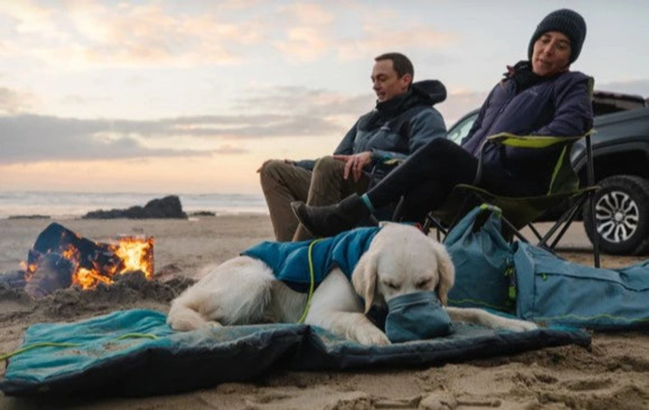 Ruffwear™ Mt. Bachelor Pad™ Portable Dog Bed - Medium - Image 5